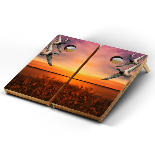Professional Cornhole Boards – 5 Levels of Quality for Every Player - Duck Hunting